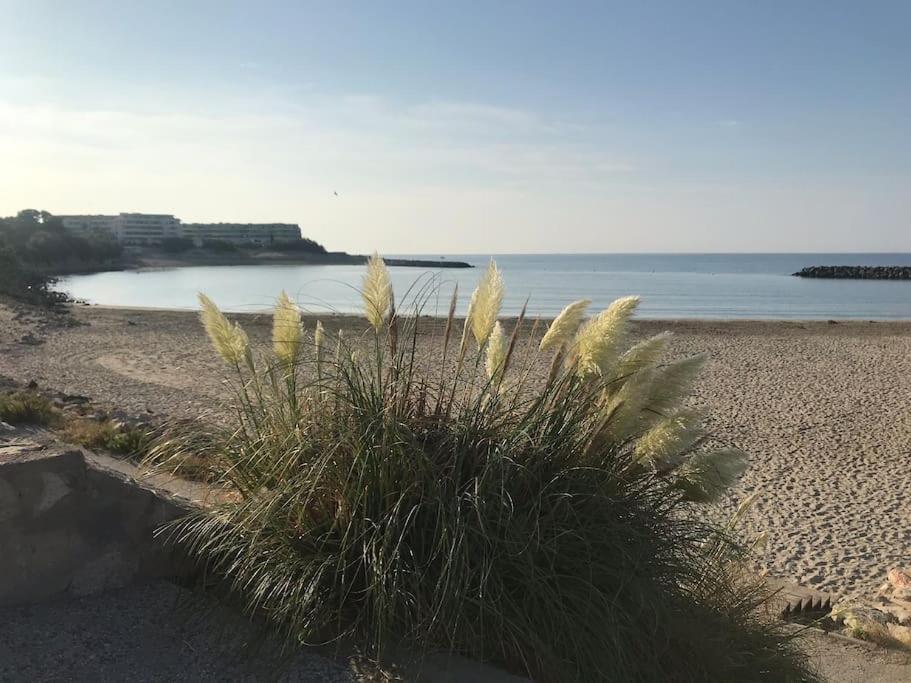 Appartamento Perle D'Horizon Marin Sète Esterno foto